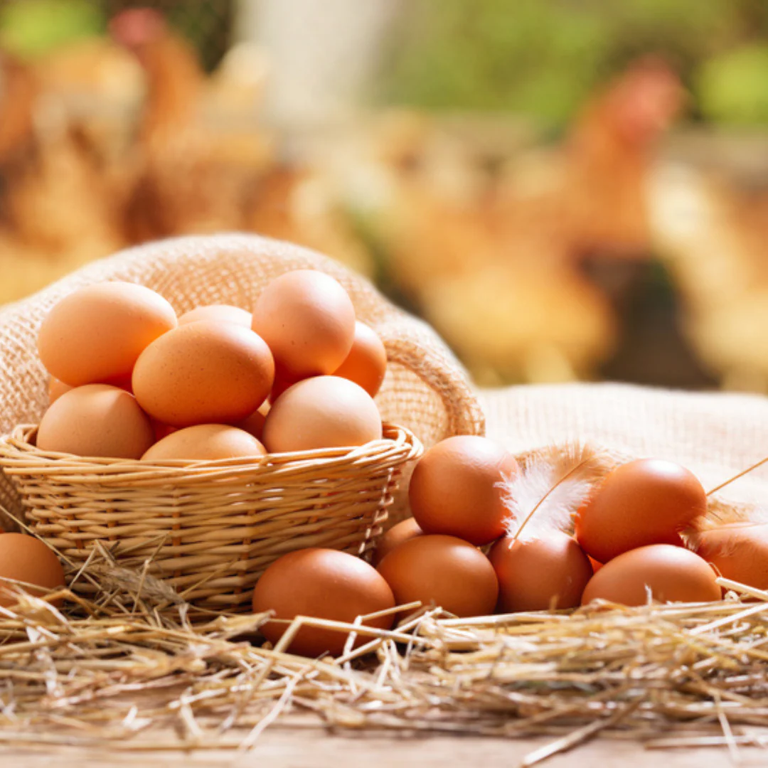 Farm-Fresh Pasture Raised Eggs (Dozen) - Image 3