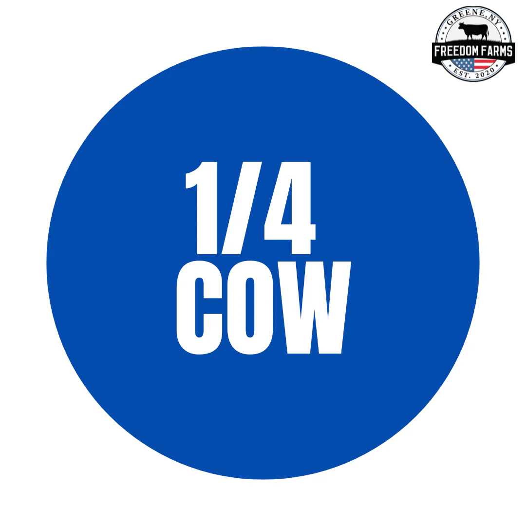 Quarter Cow (Deposit) - Image 4